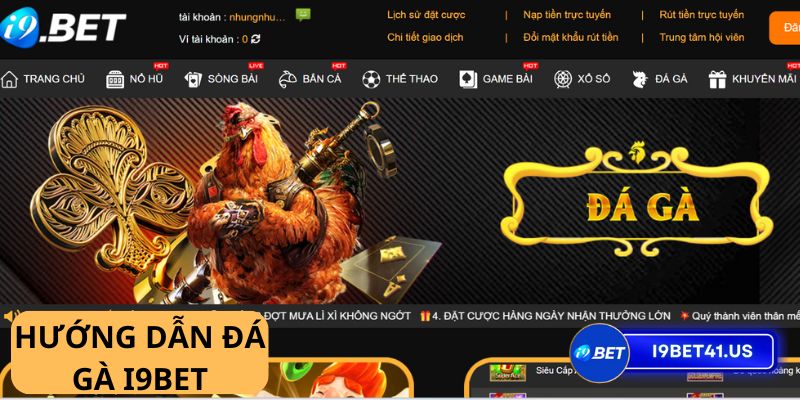 Đá gà online i9bet - Khám Phá Trò Chơi Trực Tuyến Đẳng Cấp 1 Khám phá thế giới đá gà online i9bet - Nơi may mắn luôn mỉm cười